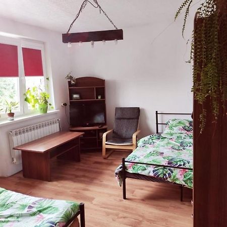 Gromadzyniowka-Pod Czarnym Kogutem Lejlighed Ustrzyki Dolne Eksteriør billede